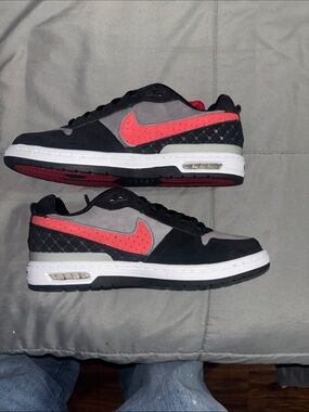 Paul Rodriguez zoom air low sb dunk size 5.5